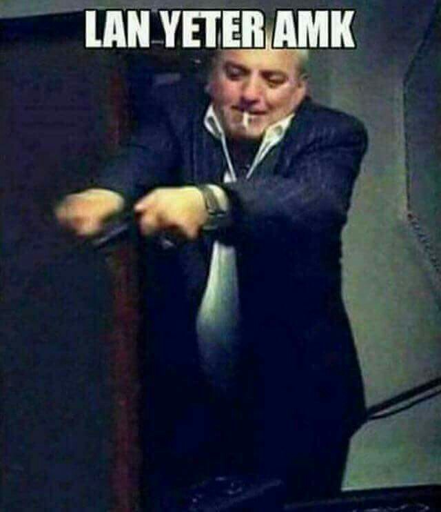 2703436_o7407.jpg